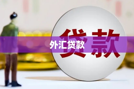 宁南外汇贷款