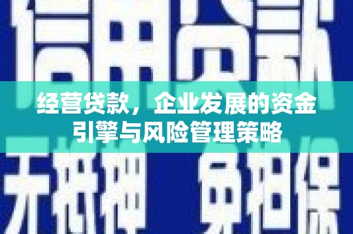 宁南经营贷款，企业发展的资金引擎与风险管理策略