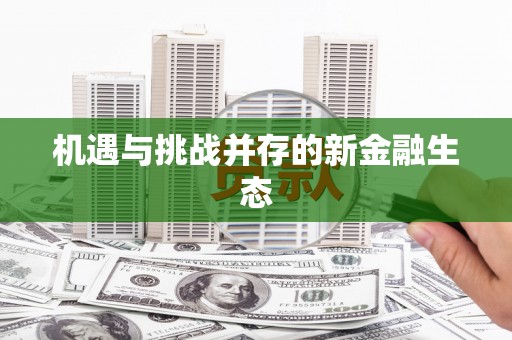 宁南机遇与挑战并存的新金融生态