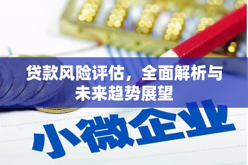 宁南贷款风险评估，全面解析与未来趋势展望