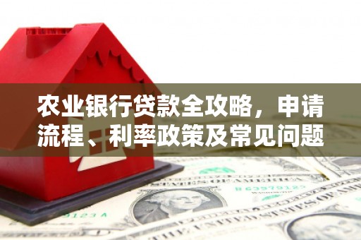 宁南农业银行贷款全攻略，申请流程、利率政策及常见问题解析
