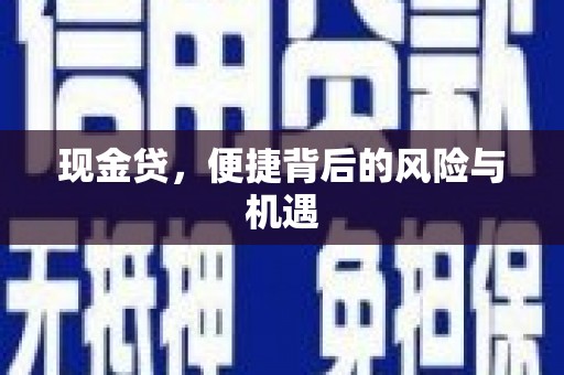 宁南现金贷，便捷背后的风险与机遇