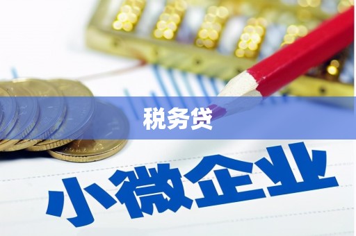 宁南税务贷