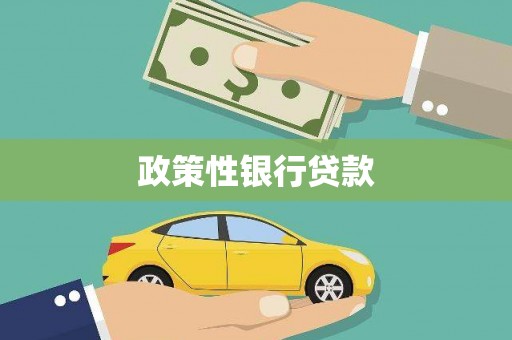 宁南政策性银行贷款