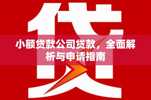 宁南小额贷款公司贷款，全面解析与申请指南