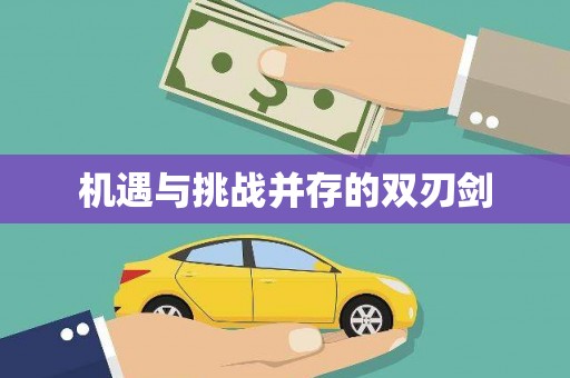 宁南机遇与挑战并存的双刃剑