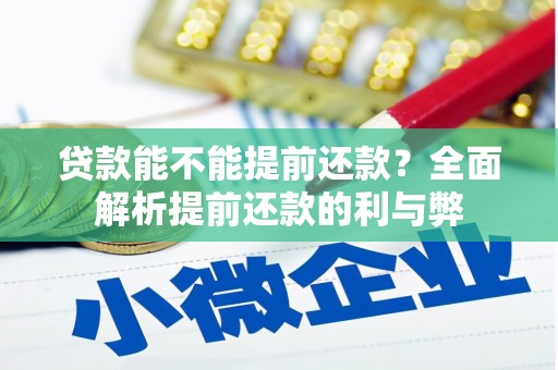 宁南贷款能不能提前还款？全面解析提前还款的利与弊