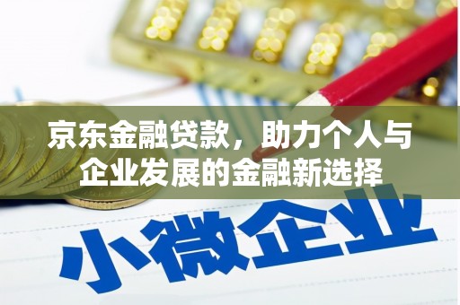 宁南京东金融贷款，助力个人与企业发展的金融新选择