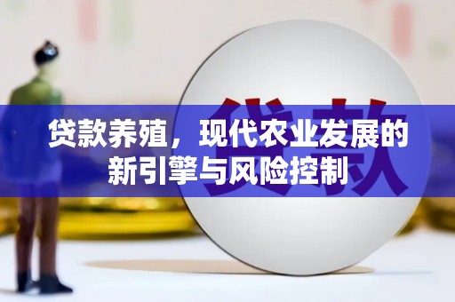 宁南贷款养殖，现代农业发展的新引擎与风险控制