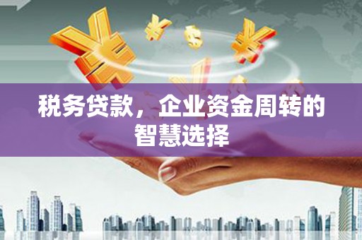 宁南税务贷款，企业资金周转的智慧选择
