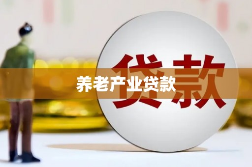 宁南养老产业贷款
