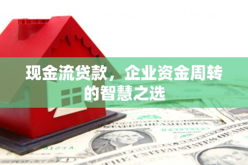 宁南现金流贷款，企业资金周转的智慧之选