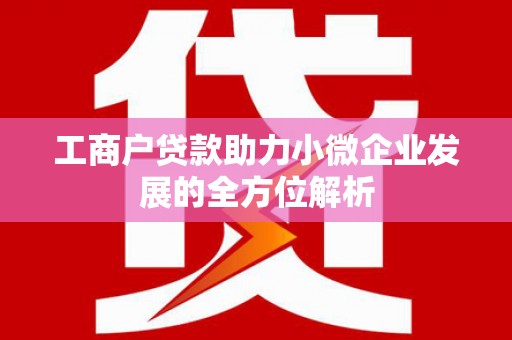 宁南工商户贷款助力小微企业发展的全方位解析