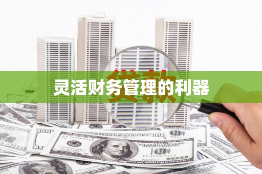 宁南灵活财务管理的利器