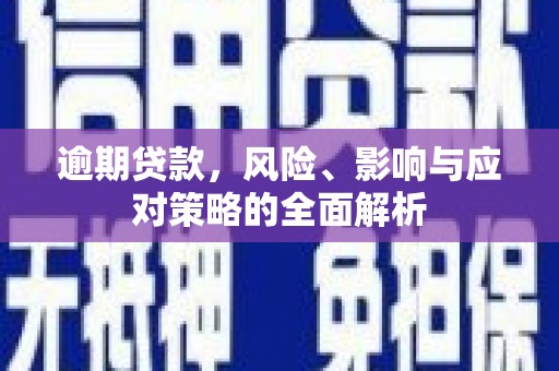 宁南逾期贷款，风险、影响与应对策略的全面解析