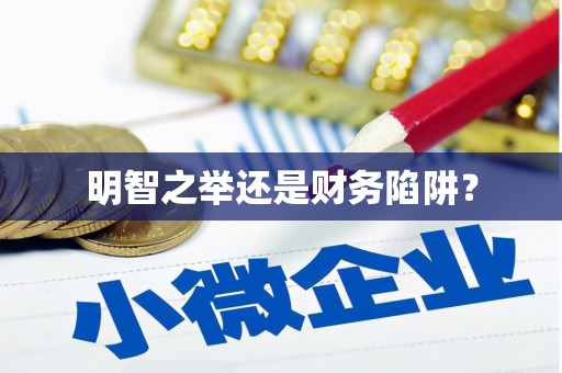 宁南明智之举还是财务陷阱？