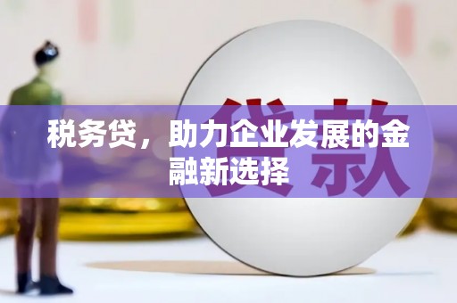 宁南税务贷，助力企业发展的金融新选择