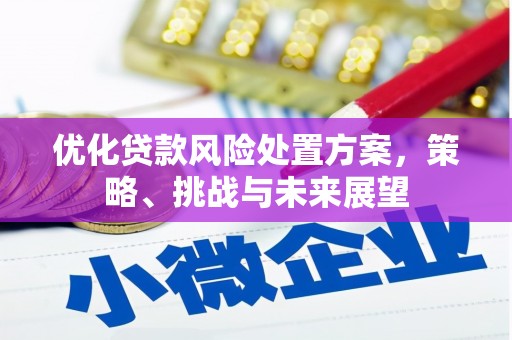 宁南优化贷款风险处置方案，策略、挑战与未来展望