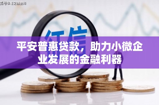 宁南平安普惠贷款，助力小微企业发展的金融利器