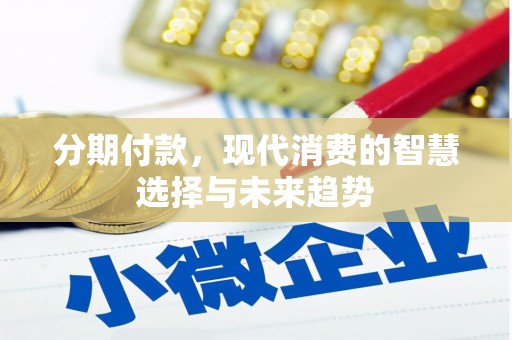 宁南分期付款，现代消费的智慧选择与未来趋势