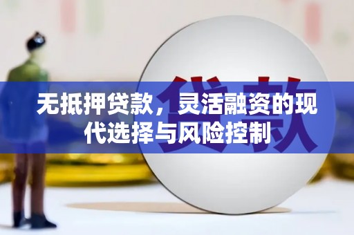 宁南无抵押贷款，灵活融资的现代选择与风险控制