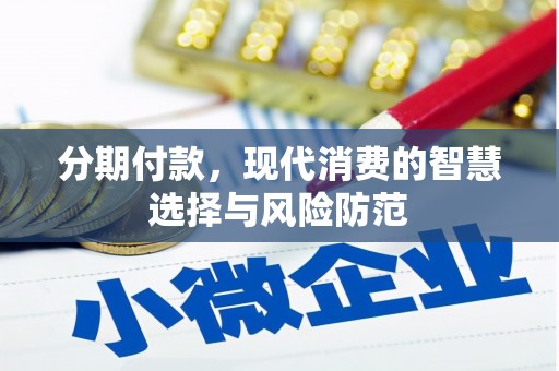 宁南分期付款，现代消费的智慧选择与风险防范