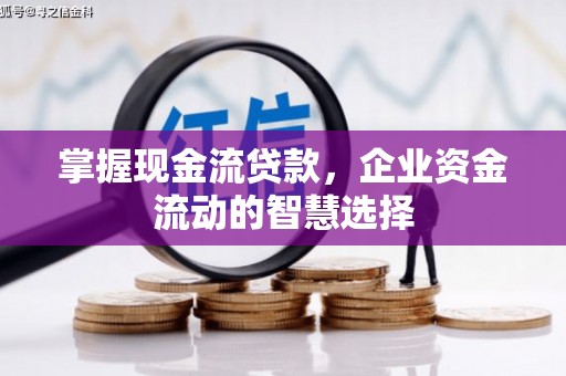 宁南掌握现金流贷款，企业资金流动的智慧选择