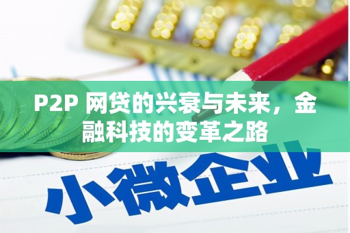宁南P2P 网贷的兴衰与未来，金融科技的变革之路