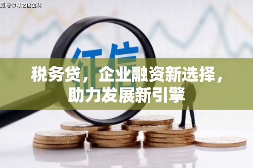 宁南税务贷，企业融资新选择，助力发展新引擎