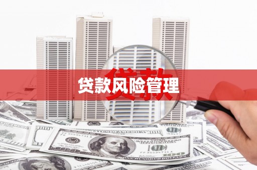 宁南贷款风险管理