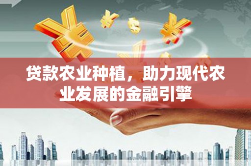 宁南贷款农业种植，助力现代农业发展的金融引擎