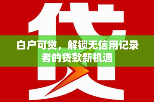 宁南白户可贷，解锁无信用记录者的贷款新机遇