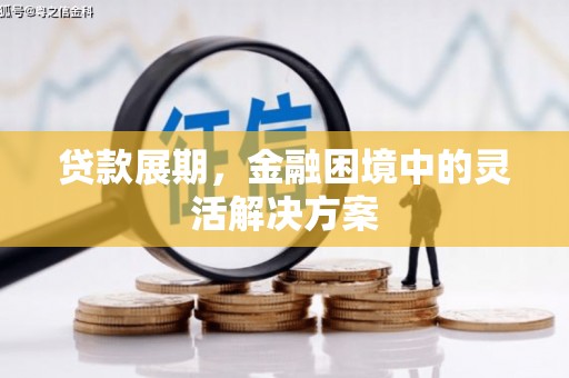 宁南贷款展期，金融困境中的灵活解决方案