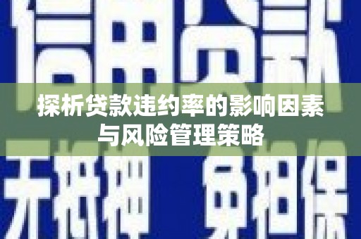 宁南探析贷款违约率的影响因素与风险管理策略
