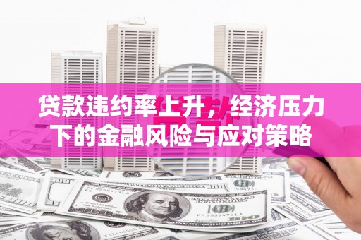 宁南贷款违约率上升，经济压力下的金融风险与应对策略