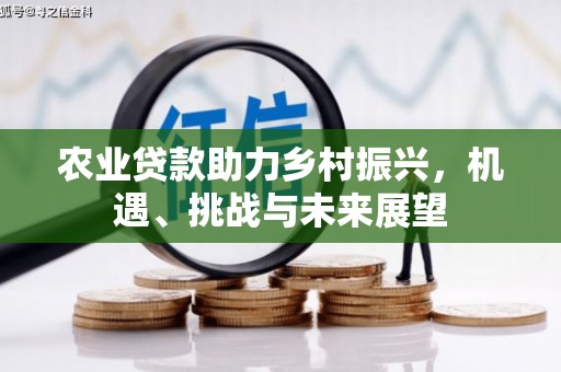 宁南农业贷款助力乡村振兴，机遇、挑战与未来展望