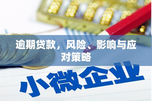 宁南逾期贷款，风险、影响与应对策略