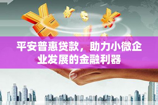 宁南平安普惠贷款，助力小微企业发展的金融利器