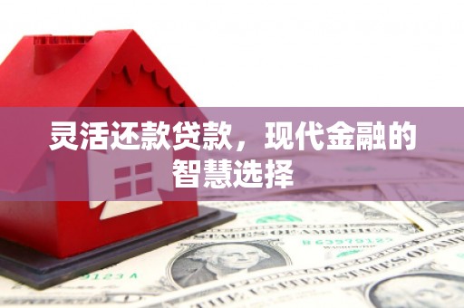 宁南灵活还款贷款，现代金融的智慧选择
