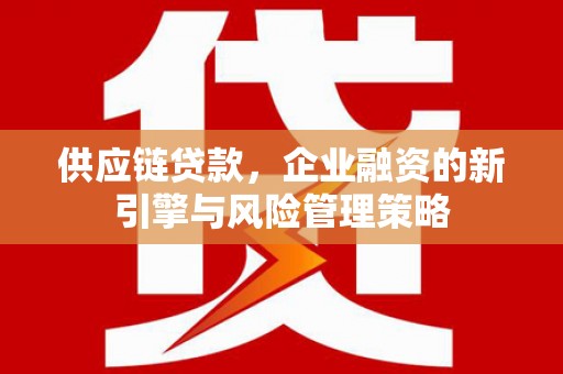 宁南供应链贷款，企业融资的新引擎与风险管理策略
