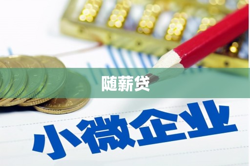 宁南随薪贷