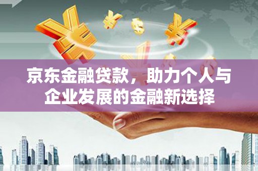 宁南京东金融贷款，助力个人与企业发展的金融新选择