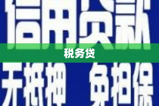 宁南税务贷