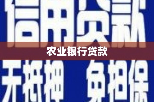 宁南农业银行贷款