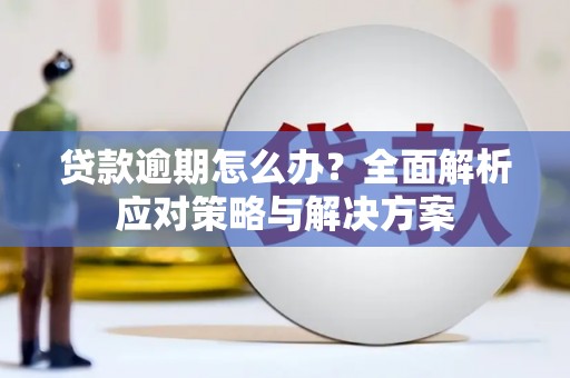 宁南贷款逾期怎么办？全面解析应对策略与解决方案