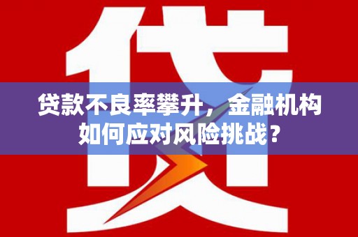 宁南贷款不良率攀升，金融机构如何应对风险挑战？