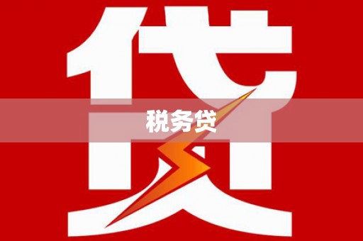 宁南税务贷