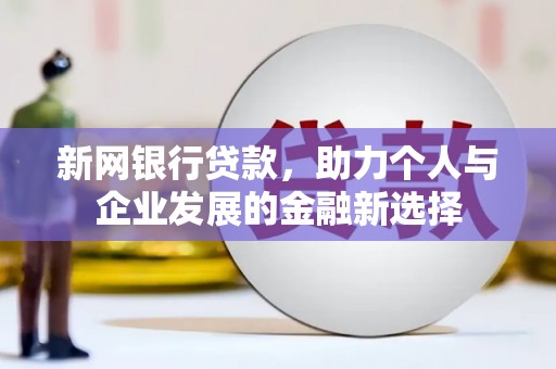 宁南新网银行贷款，助力个人与企业发展的金融新选择