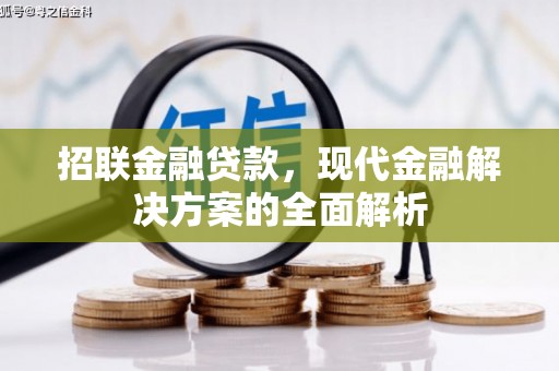 宁南招联金融贷款，现代金融解决方案的全面解析