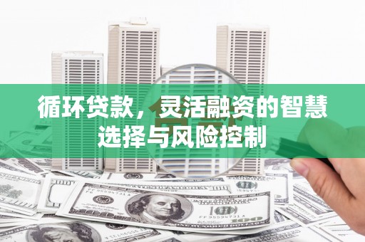 宁南循环贷款，灵活融资的智慧选择与风险控制